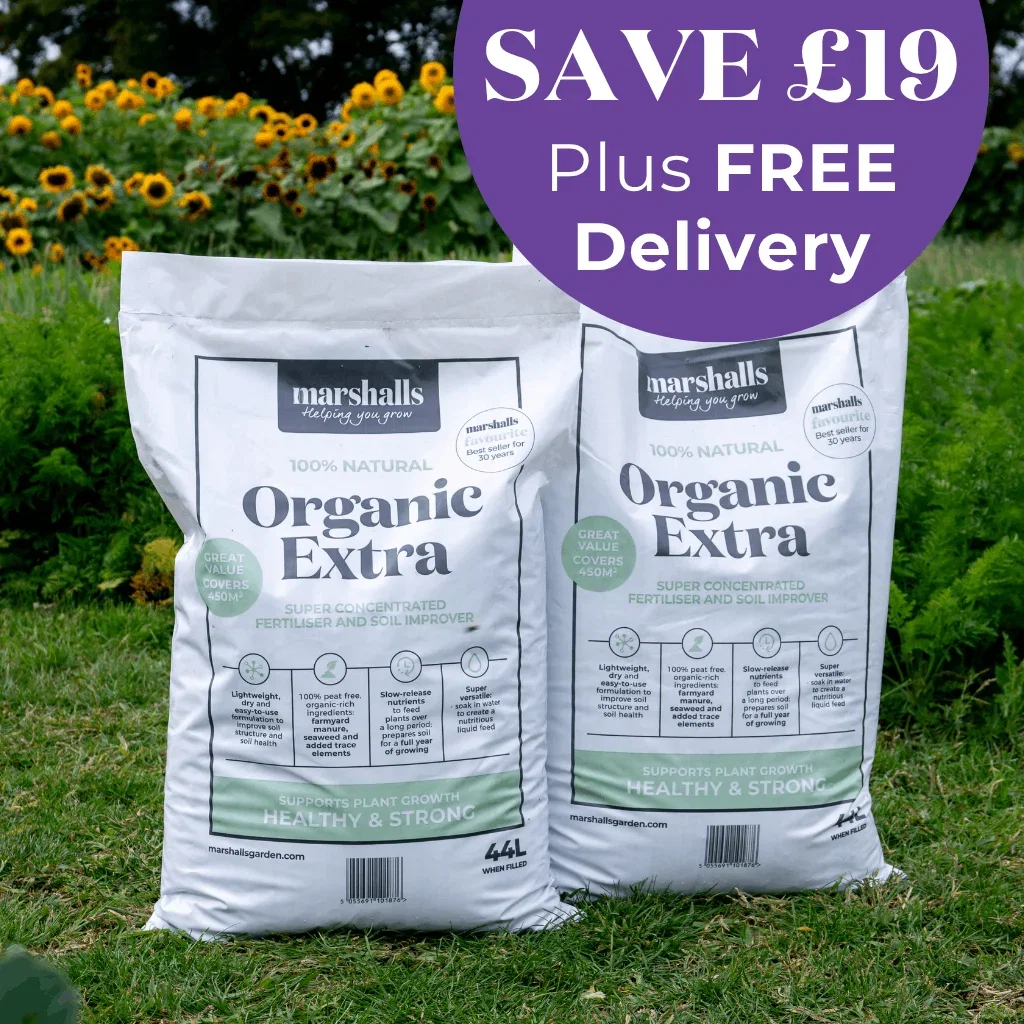 Save £19 Plus FREE Delivery