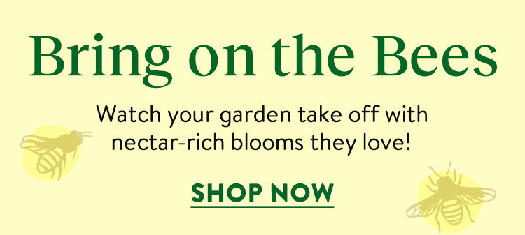Pollinator Favorites