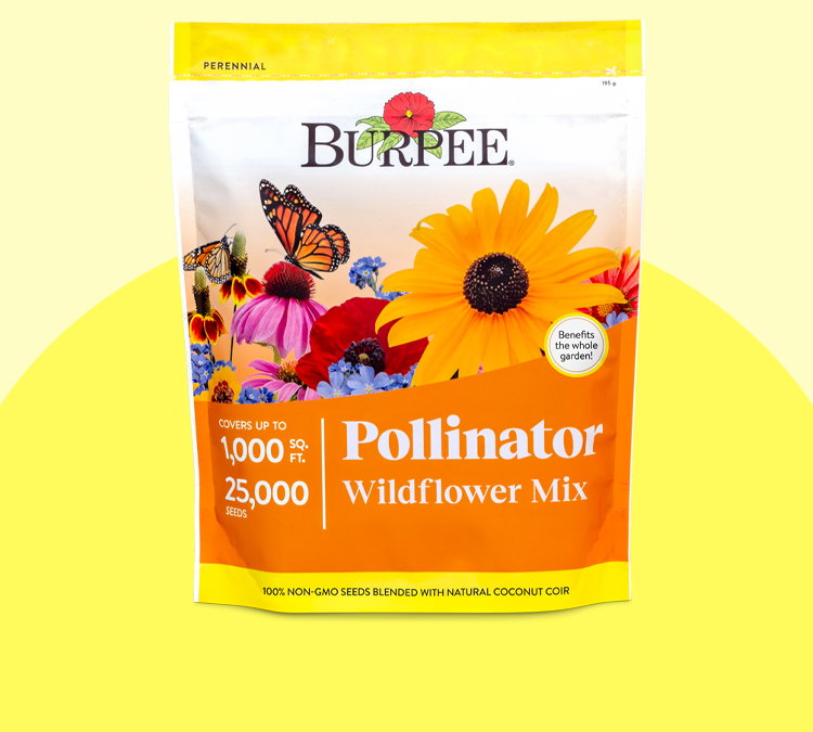 Pollinator Mix Wildflower Seeds