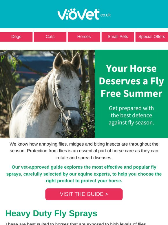 Flies bothering your horse? Here's what actually works.