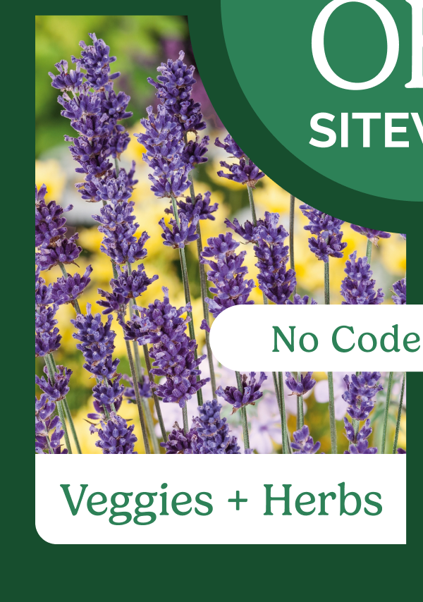 Veggies & Herbs