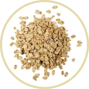 Oats Ingredient