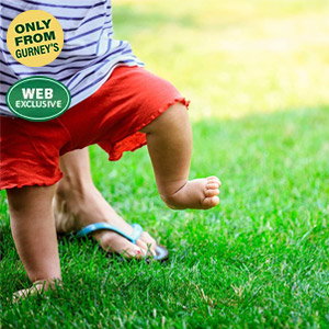 All-Ways Greener™ Grass Seed Mixture