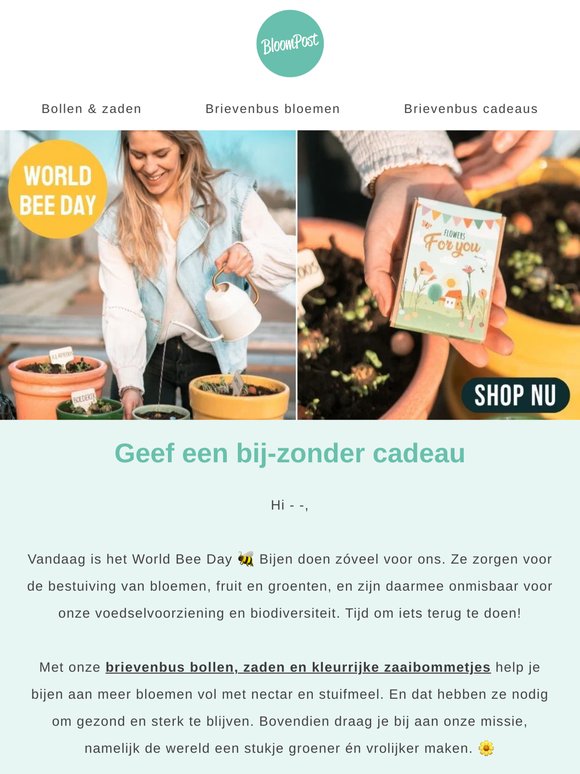 Zo maak jij het verschil voor bijen 🐝