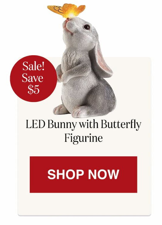LED Bunny with Butterfly Figurine [Click here to Shop Now]