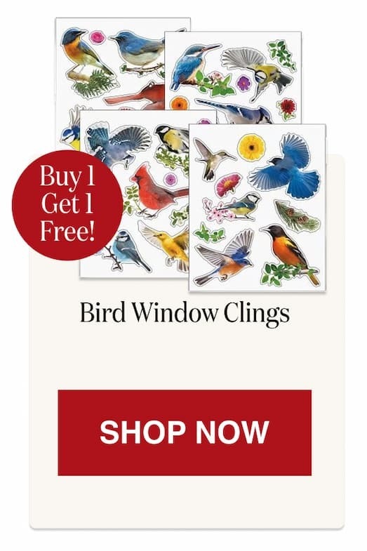 Bird Window Clings - BOGO [Click here to Shop Now]