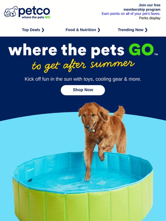 ☀ Is your pet ready for the best summer yet?!