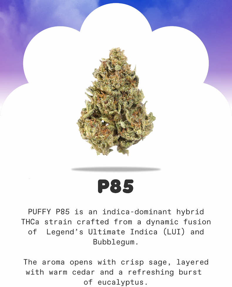 P85
