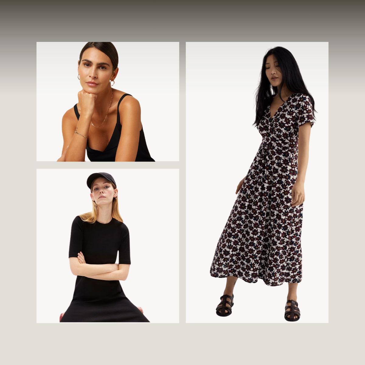 Newsletter Header