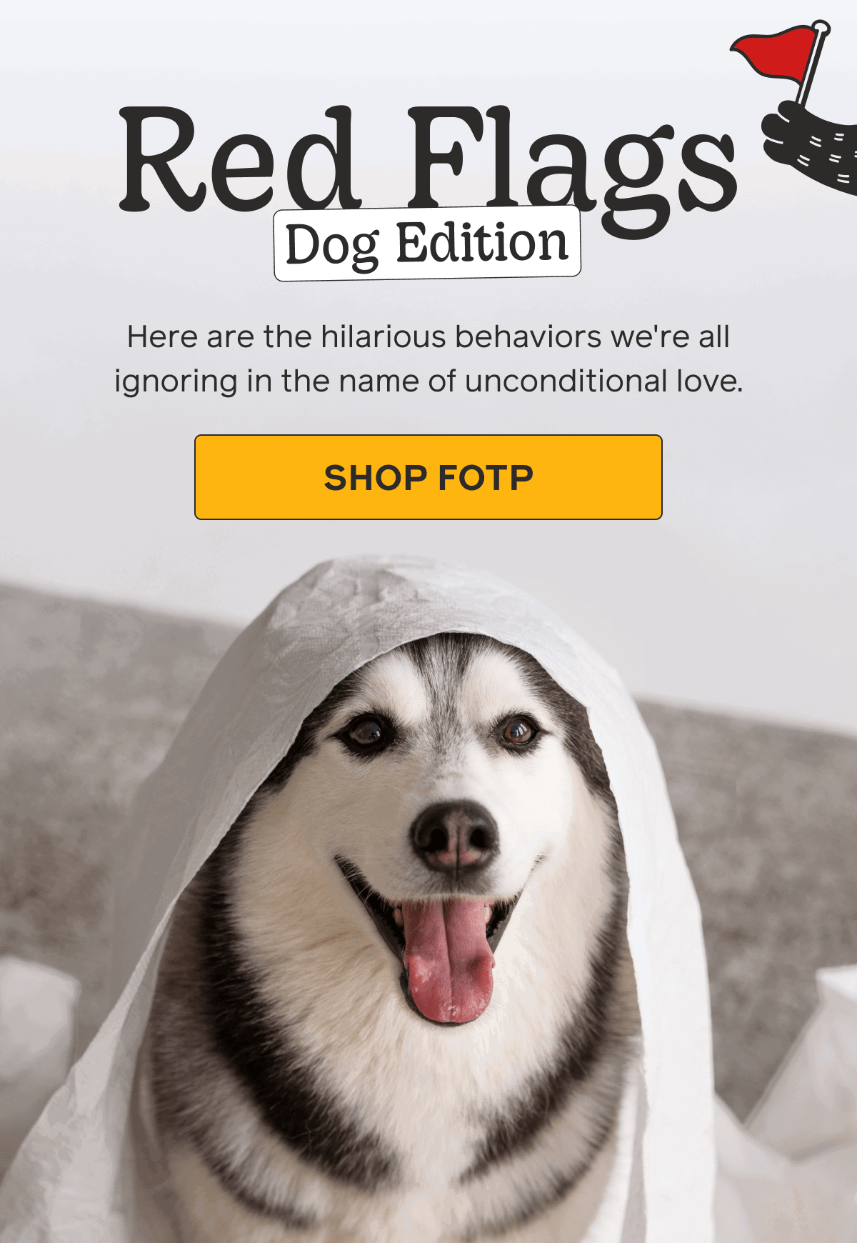 Dog Park Do's & Don'ts
