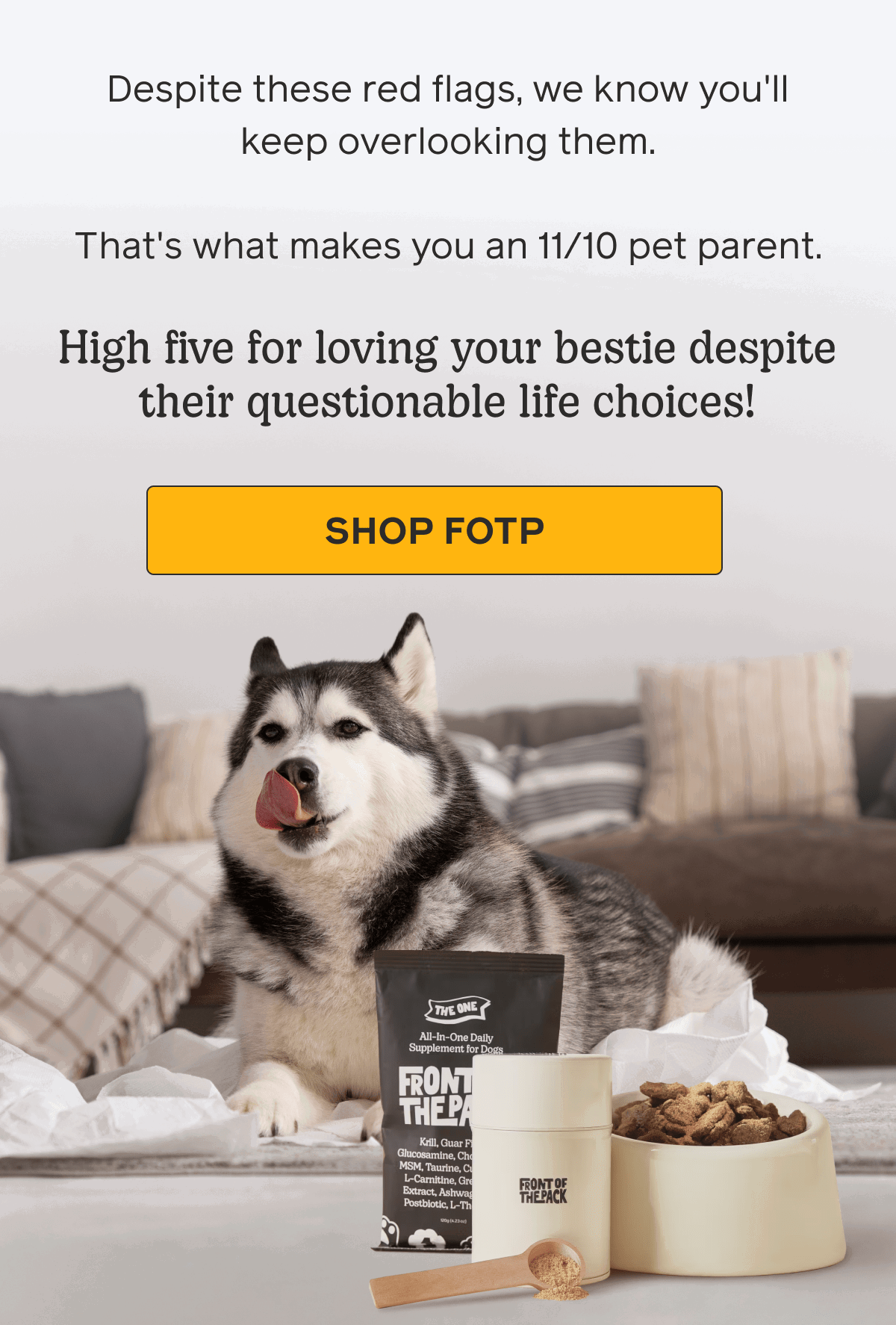 For the Dogs
