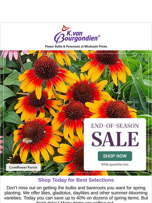 Selling Out Soon at Savings of up to 40%