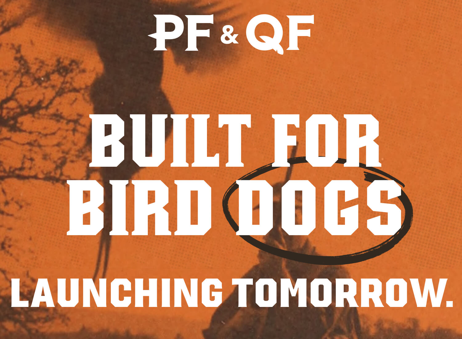 PF & QF: Built For Bird Dogs Launching Tomorrow.