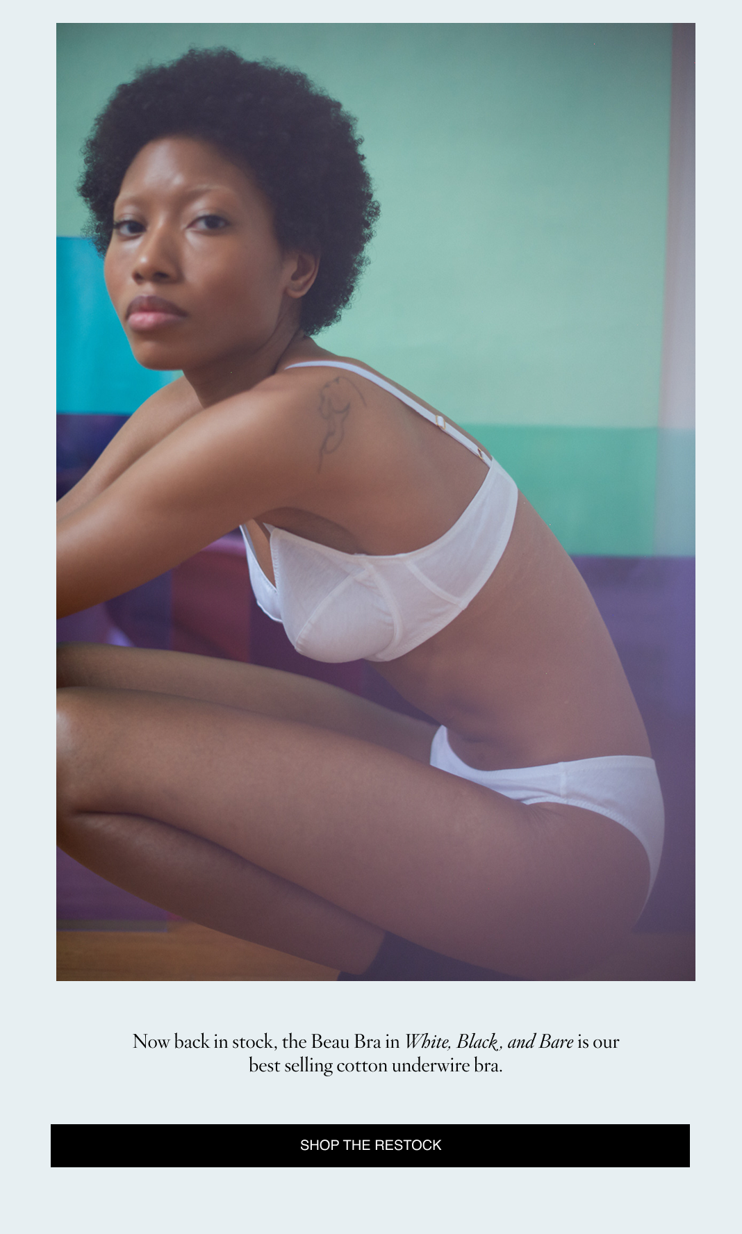 Araks beau underwire bra in white