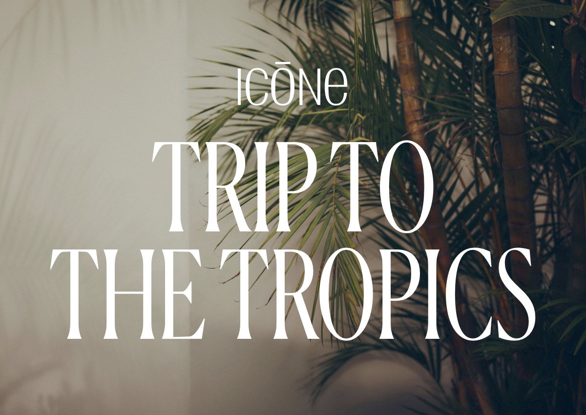 Icône Trip to the Tropics