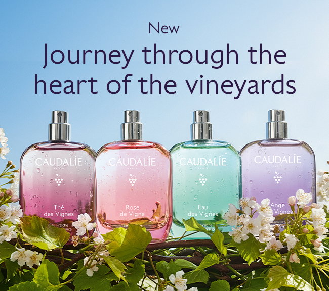 Journey through the heart of the vineyards