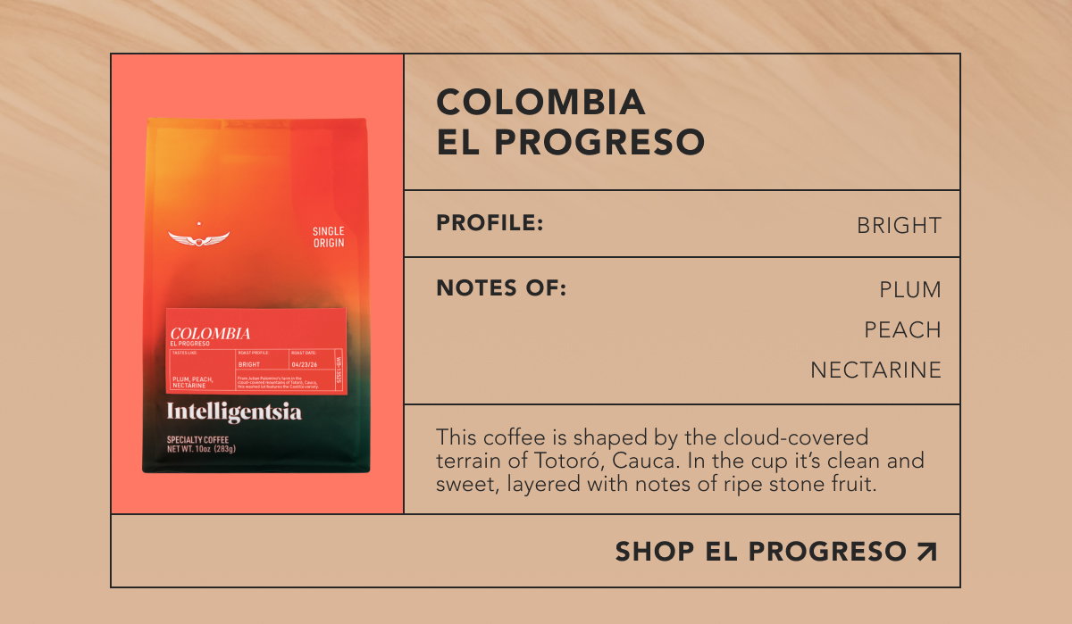 Colombia El Progreso. Profile: Bright. Notes of: plum, peach, nectarine. This coffee is shaped by the cloud-covered terrain of Totoró, Cauca. In the cup it’s clean and sweet, layered with notes of ripe stone fruit. | SHOP EL PROGRESO