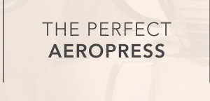 The Perfect AeroPress