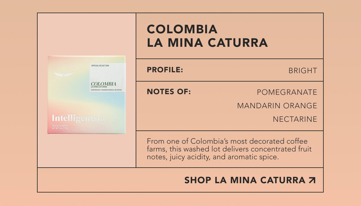 Colombia La Mina Caturra. Profile: Bright. Notes of: Pomegranate, mandarin orange, nectarine. From one of Colombia’s most decorated coffee farms, this washed lot delivers concentrated fruit notes, juicy acidity, and aromatic spice. | SHOP LA MINA CATURRA  