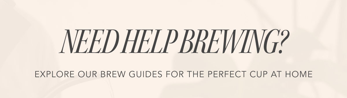Need Help Brewing? Explore our Brew Guides for the perfect cup at home