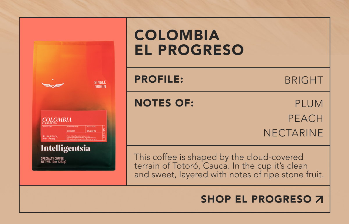 Colombia El Progreso. Profile: Bright. Notes of: plum, peach, nectarine. This coffee is shaped by the cloud-covered terrain of Totoró, Cauca. In the cup it’s clean and sweet, layered with notes of ripe stone fruit. | SHOP EL PROGRESO