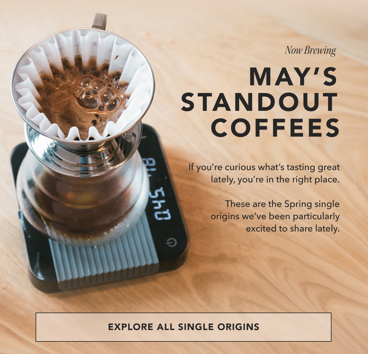 Now Brewing: May's Standout Coffees. If you’re curious what’s tasting great lately, you’re in the right place.  These are the Spring single origins we’ve been particularly excited to share lately. | EXPLORE ALL SINGLE ORIGINS