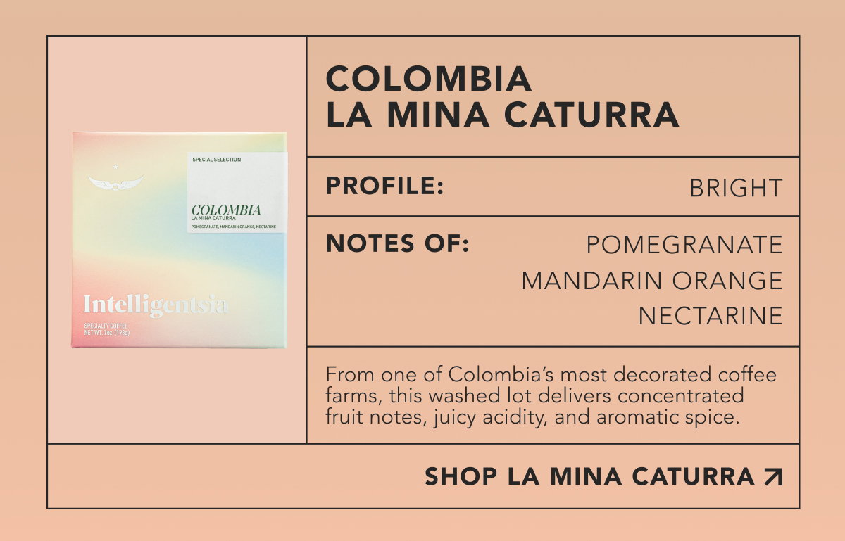 Colombia La Mina Caturra. Profile: Bright. Notes of: Pomegranate, mandarin orange, nectarine. From one of Colombia’s most decorated coffee farms, this washed lot delivers concentrated fruit notes, juicy acidity, and aromatic spice. | SHOP LA MINA CATURRA 