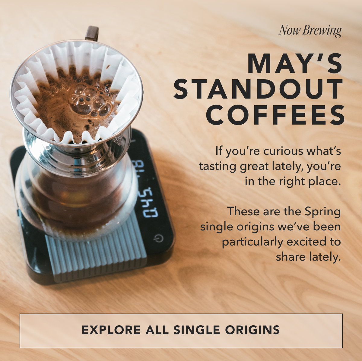 Now Brewing: May's Standout Coffees. If you’re curious what’s tasting great lately, you’re in the right place. These are the Spring single origins we’ve been particularly excited to share lately. | EXPLORE ALL SINGLE ORIGINS