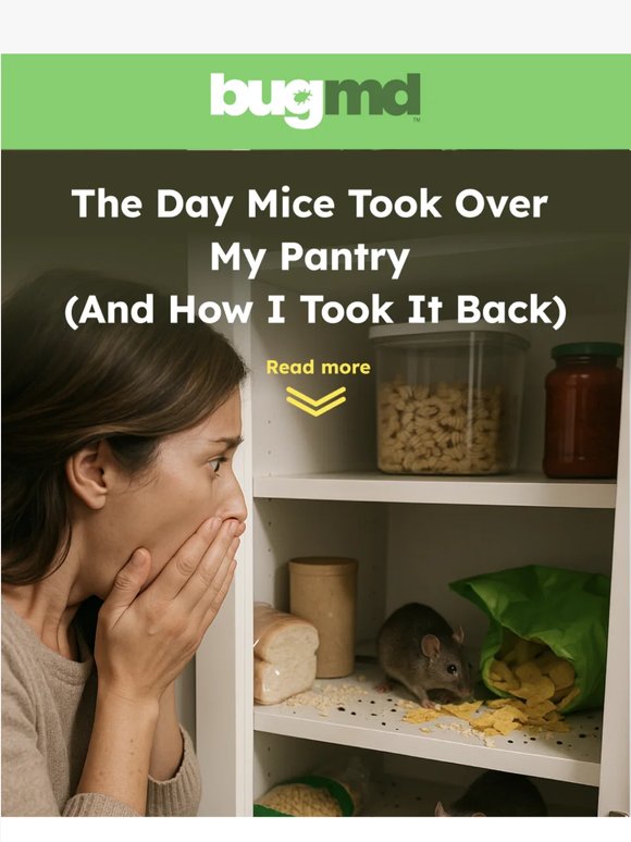 The day mice took over my pantry...