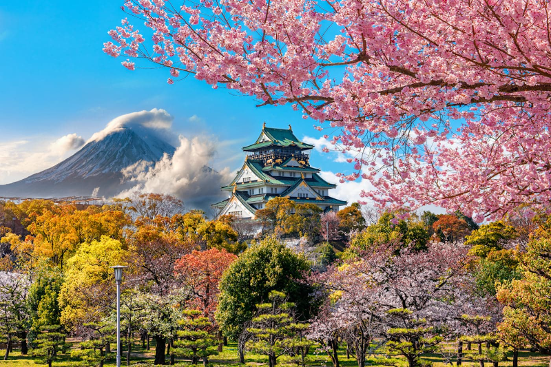 2 for 1 Japan: Meet me in Seoul, Osaka & Kyoto