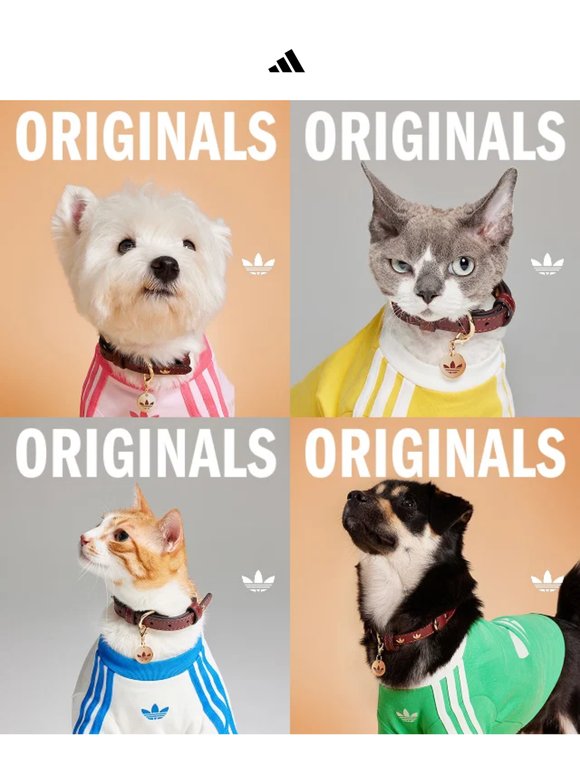 The Originals Pet Collection is here 🐶🐱 /// La Collection Originals Pet est sortie 🐶🐱