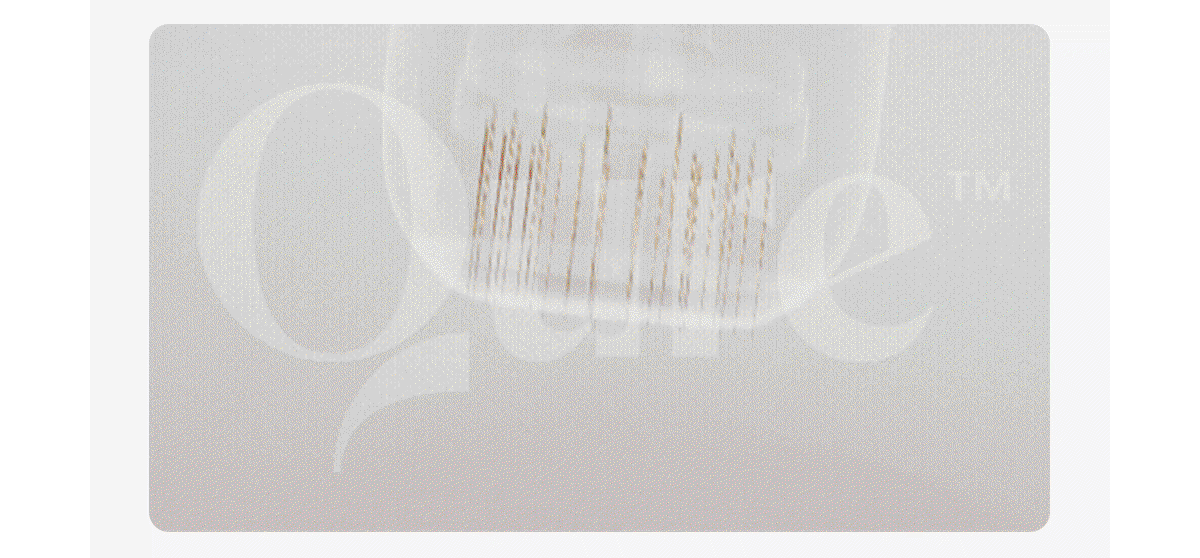 Enable image to view