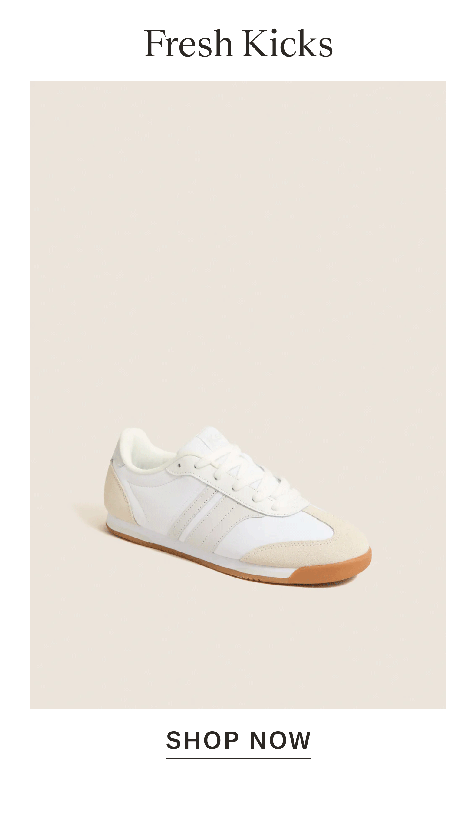 Fresh Kicks