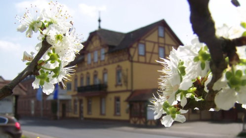 Hotel Außenansicht