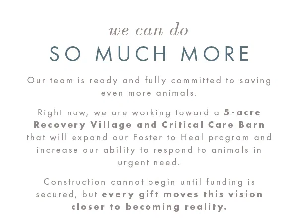 We can do so much more