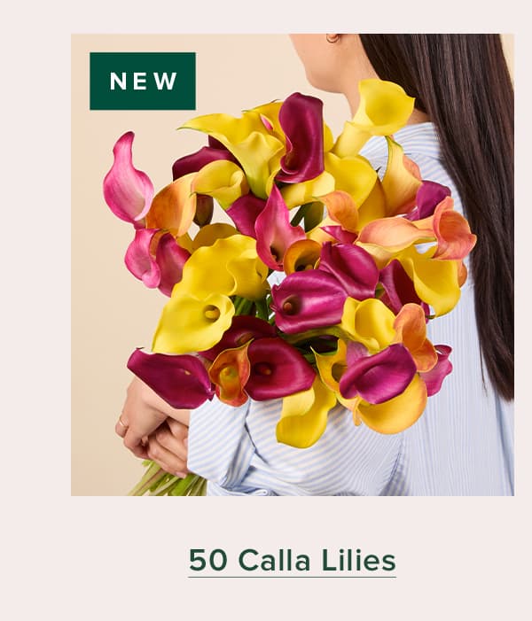 NEW: 50 Calla Lilies