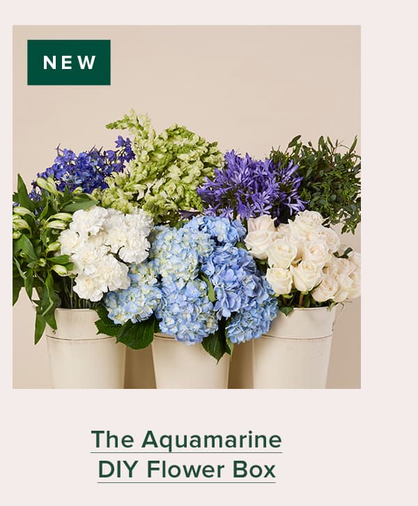 NEW: The Aquamarine DIY Flower Box