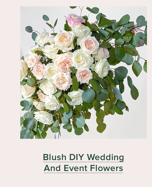 Blush DIY Wedding And Event Flowers