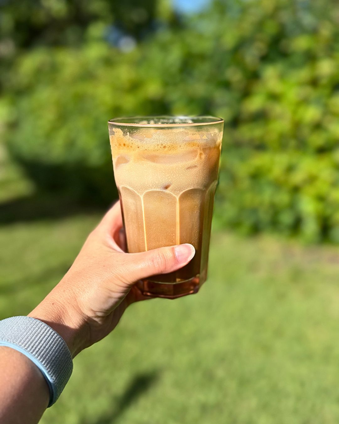 macro of crema