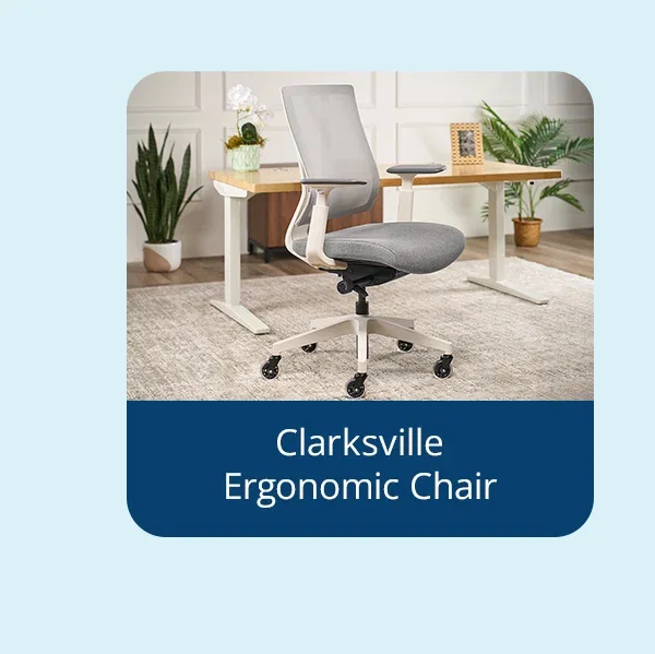 Clarksville Ergonomic Chair