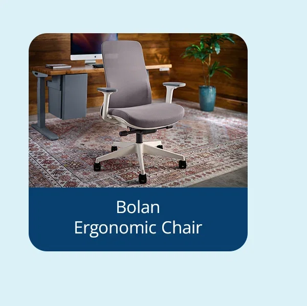 Bolan Ergonomic Chair