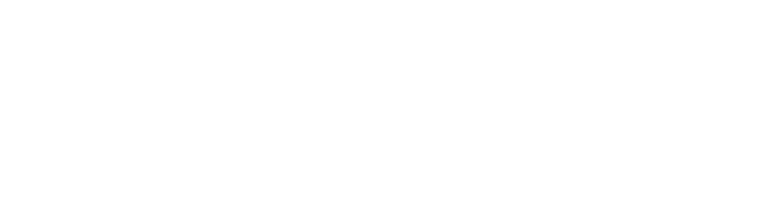 ELEMIS