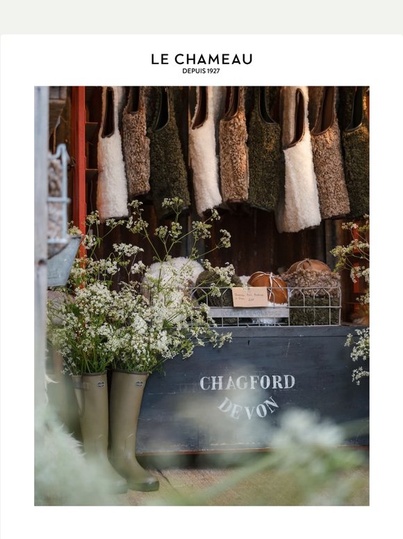 In Bloom at Chelsea Flower Show
