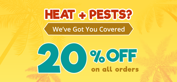 Summer  - 20% OFF on all orders