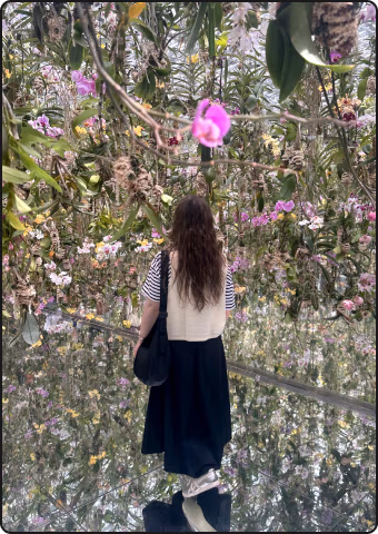 teamLab orchid installation