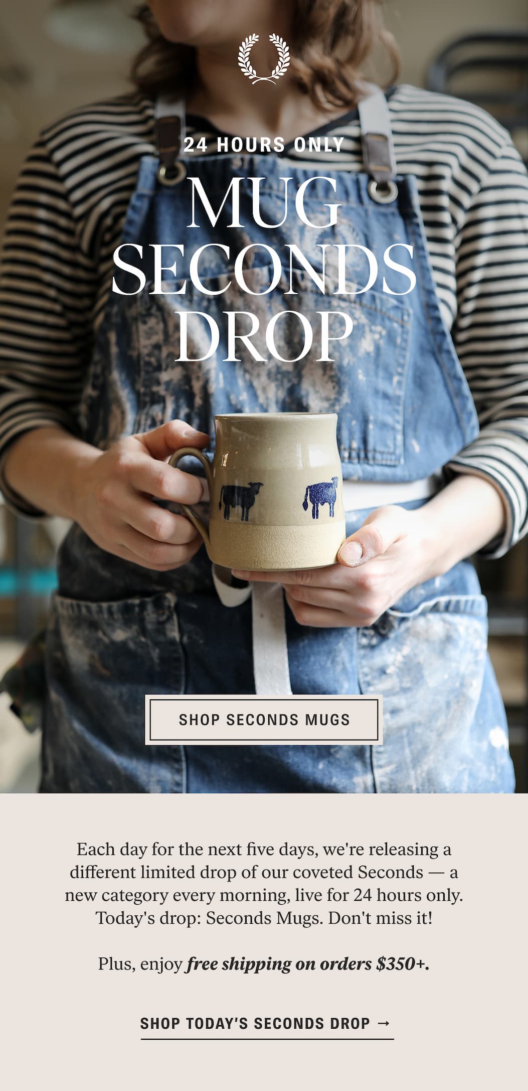 24 Hours Only: Mug Seconds Drop