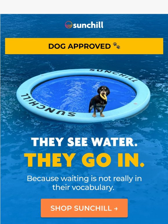 Built for the Zoomies. Yes, Those Ones. 🐾