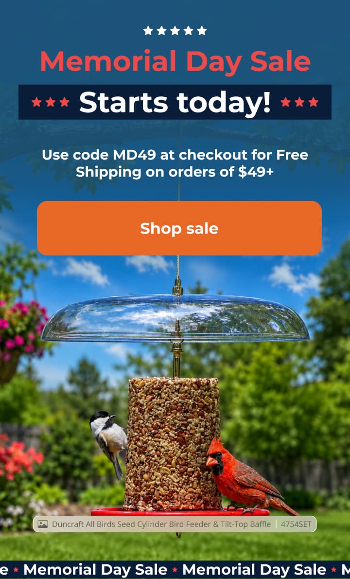 Memorial Day sale is on