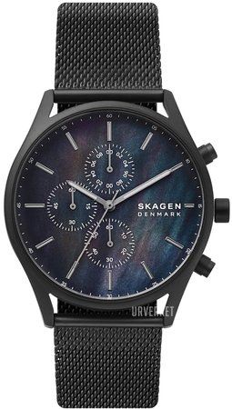 Image of Skagen  SKW6651-1456282