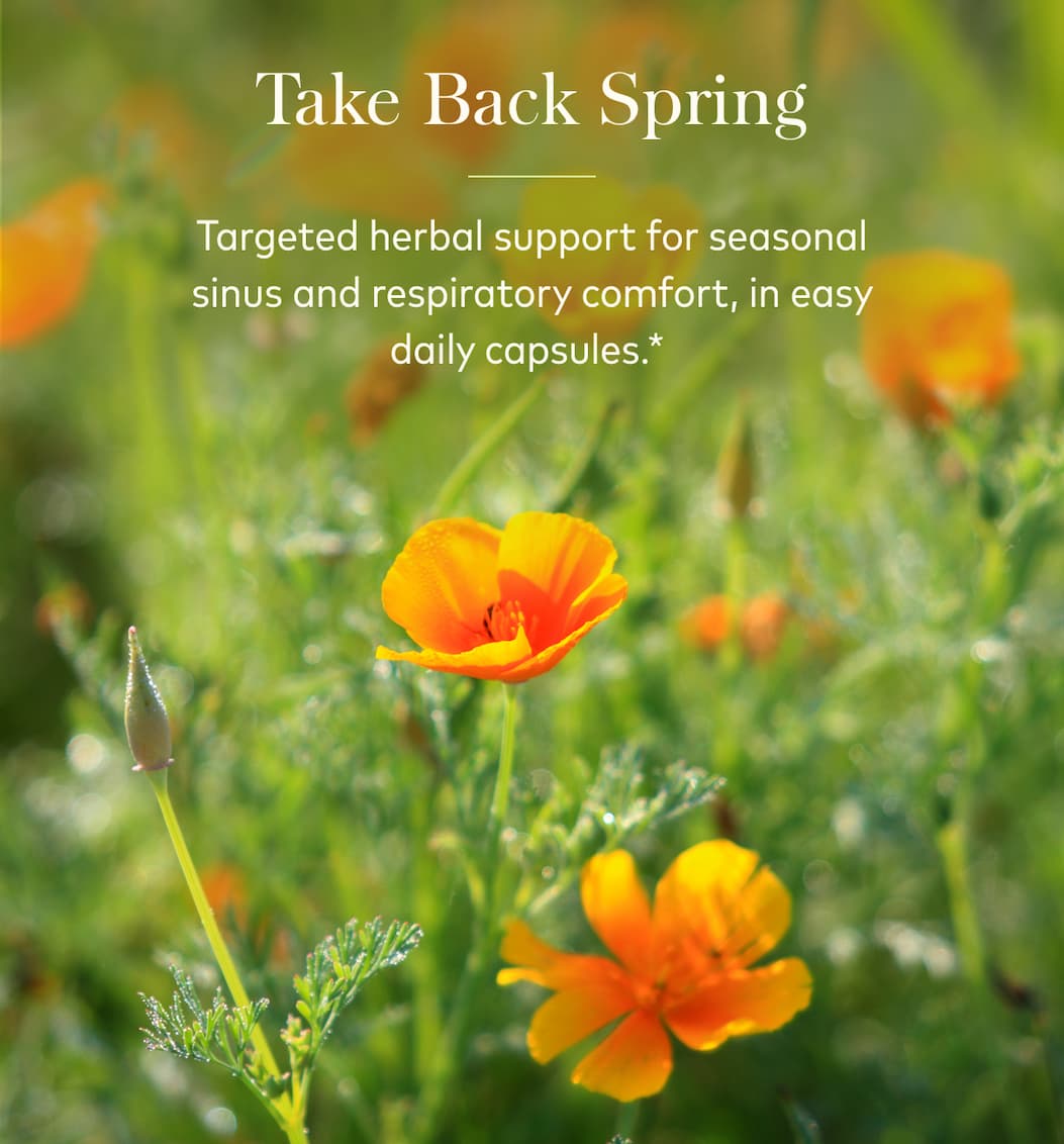 Seasonal Sinus Support